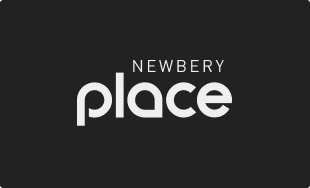 newbery negro